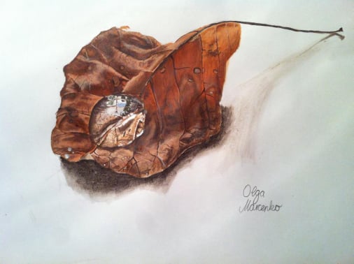 Acrylbild Tropfen auf Blatt Olga Reichold