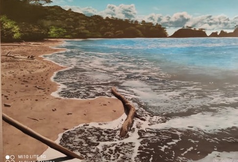 Ölbild Costa Rica Strand Olga Reichold