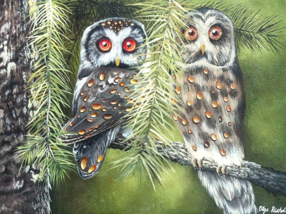 Ölbild Fantasy Eulen Bernstein Olga Reichold